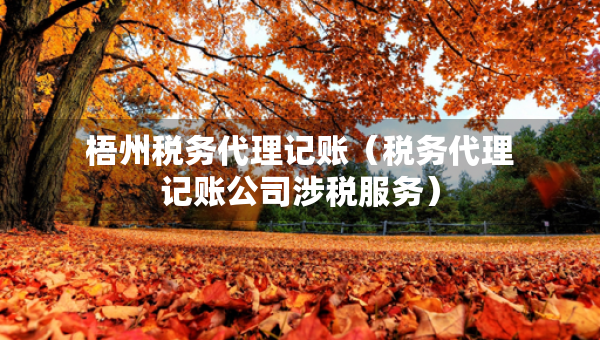 梧州稅務(wù)代理記賬（稅務(wù)代理記賬公司涉稅服務(wù)）