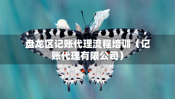 盤龍區(qū)記賬代理流程培訓(xùn)（記賬代理有限公司）