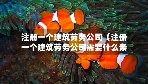 注冊一個建筑勞務公司（注冊一個建筑勞務公司需要什么條件）