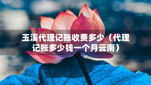 玉溪代理記賬收費(fèi)多少（代理記賬多少錢一個(gè)月云南）
