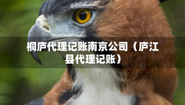 桐廬代理記賬南京公司（廬江縣代理記賬）