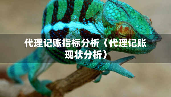 代理記賬指標(biāo)分析（代理記賬現(xiàn)狀分析）
