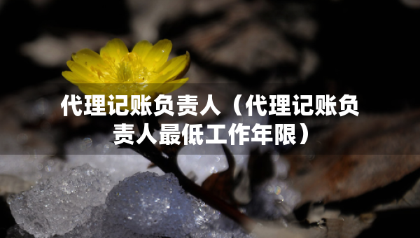 代理記賬負(fù)責(zé)人（代理記賬負(fù)責(zé)人最低工作年限）