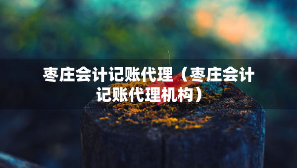 棗莊會(huì)計(jì)記賬代理（棗莊會(huì)計(jì)記賬代理機(jī)構(gòu)）