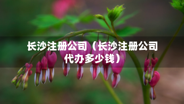 長(zhǎng)沙注冊(cè)公司（長(zhǎng)沙注冊(cè)公司代辦多少錢）