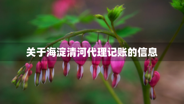 關(guān)于海淀清河代理記賬的信息