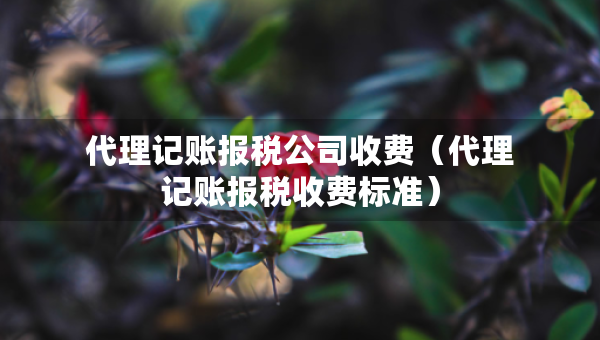 代理記賬報稅公司收費（代理記賬報稅收費標準）