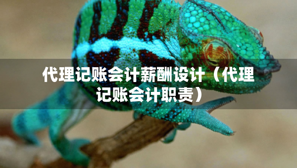代理記賬會(huì)計(jì)薪酬設(shè)計(jì)（代理記賬會(huì)計(jì)職責(zé)）