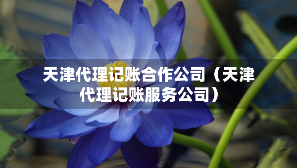 天津代理記賬合作公司（天津代理記賬服務(wù)公司）