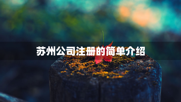 蘇州公司注冊的簡單介紹