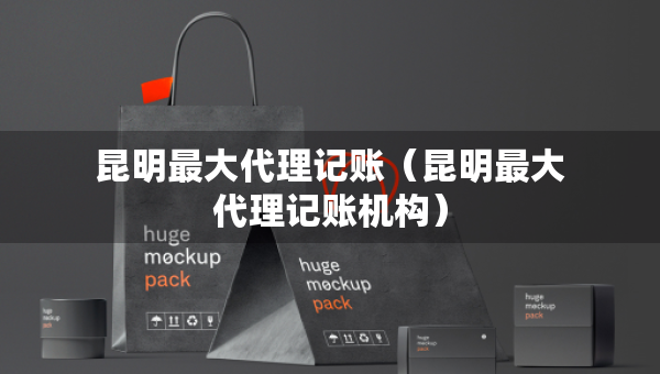 昆明最大代理記賬（昆明最大代理記賬機構）