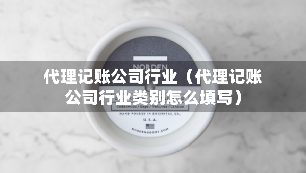 代理記賬公司行業(yè)（代理記賬公司行業(yè)類(lèi)別怎么填寫(xiě)）