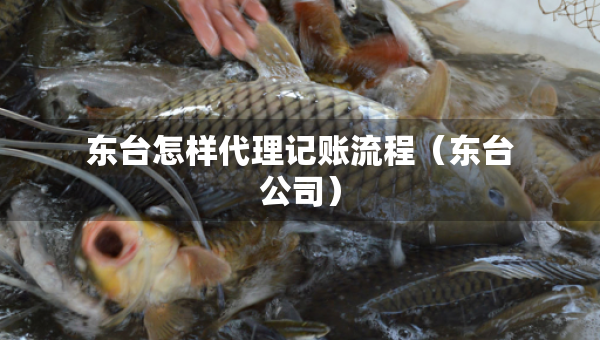 東臺(tái)怎樣代理記賬流程（東臺(tái)公司）