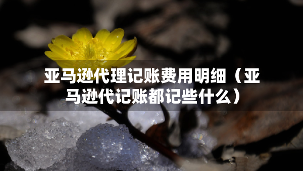 亞馬遜代理記賬費用明細（亞馬遜代記賬都記些什么）