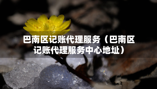 巴南區(qū)記賬代理服務(wù)（巴南區(qū)記賬代理服務(wù)中心地址）