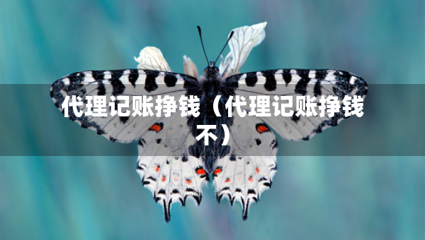 代理記賬掙錢（代理記賬掙錢不）