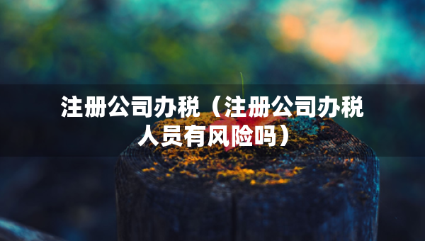 注冊公司辦稅（注冊公司辦稅人員有風(fēng)險(xiǎn)嗎）