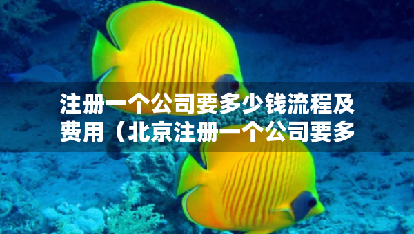 注冊(cè)一個(gè)公司要多少錢流程及費(fèi)用（北京注冊(cè)一個(gè)公司要多少錢流程及費(fèi)用）