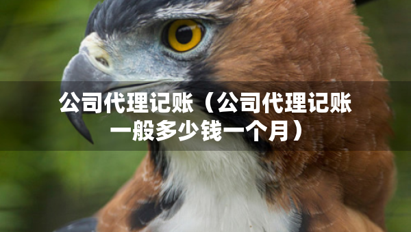 公司代理記賬（公司代理記賬一般多少錢一個(gè)月）