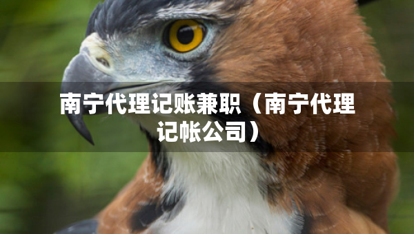 南寧代理記賬兼職（南寧代理記帳公司）