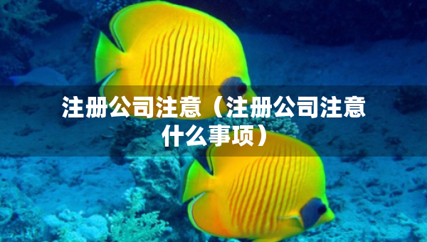 注冊公司注意（注冊公司注意什么事項）