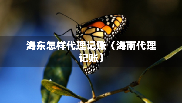 海東怎樣代理記賬（海南代理記賬）