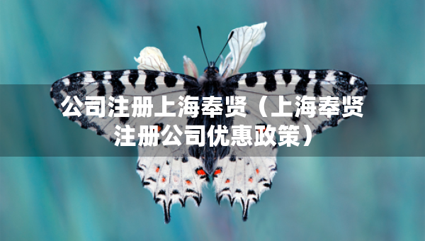 公司注冊上海奉賢（上海奉賢注冊公司優(yōu)惠政策）