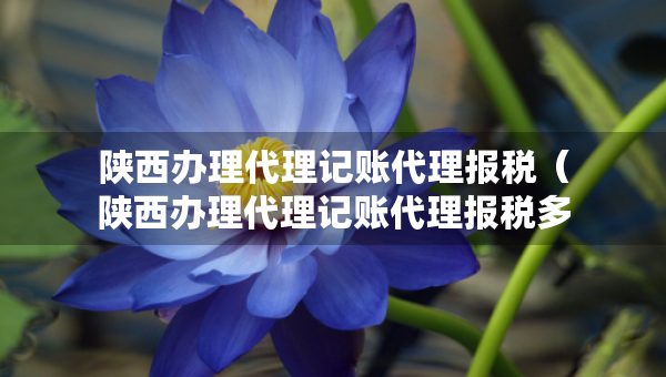 陜西辦理代理記賬代理報稅（陜西辦理代理記賬代理報稅多少錢）
