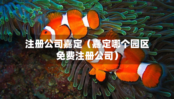 注冊公司嘉定（嘉定哪個園區(qū)免費注冊公司）