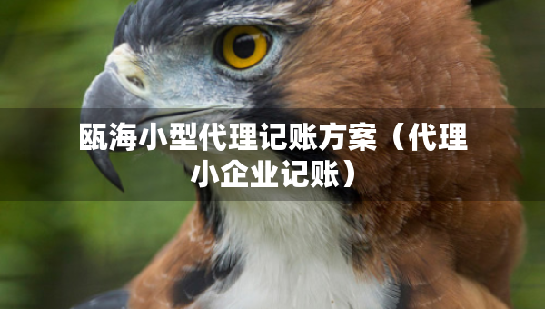 甌海小型代理記賬方案（代理小企業(yè)記賬）
