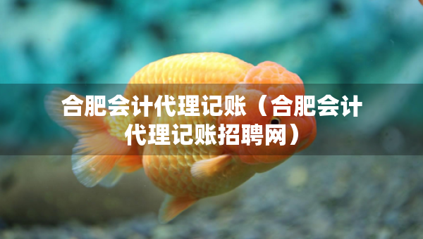 合肥會計(jì)代理記賬（合肥會計(jì)代理記賬招聘網(wǎng)）