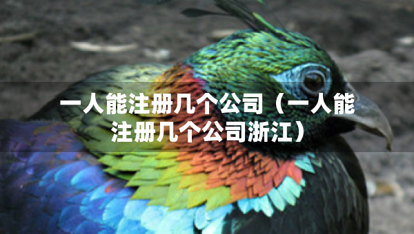 一人能注冊幾個公司（一人能注冊幾個公司浙江）