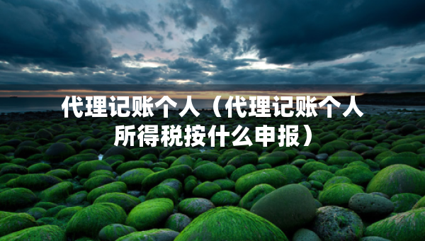 代理記賬個人（代理記賬個人所得稅按什么申報）