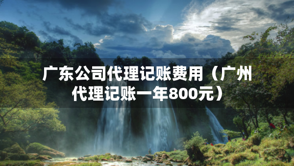 廣東公司代理記賬費用（廣州代理記賬一年800元）