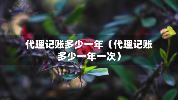 代理記賬多少一年（代理記賬多少一年一次）
