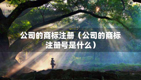 公司的商標(biāo)注冊（公司的商標(biāo)注冊號是什么）