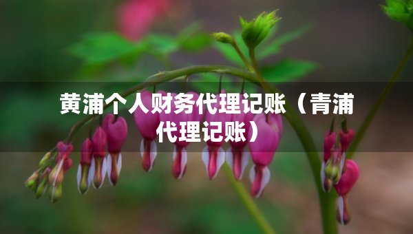 黃浦個人財務(wù)代理記賬（青浦代理記賬）