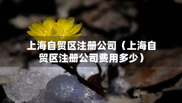 上海自貿(mào)區(qū)注冊公司（上海自貿(mào)區(qū)注冊公司費用多少）