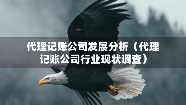 代理記賬公司發(fā)展分析（代理記賬公司行業(yè)現(xiàn)狀調(diào)查）