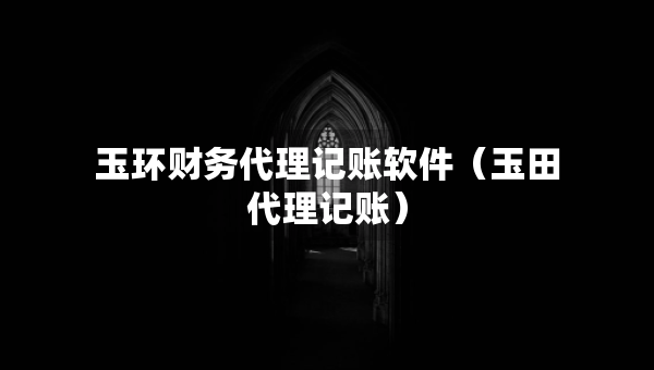 玉環(huán)財務代理記賬軟件（玉田代理記賬）