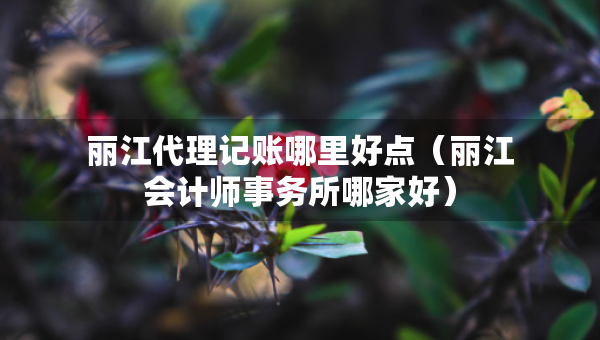 麗江代理記賬哪里好點（麗江會計師事務(wù)所哪家好）