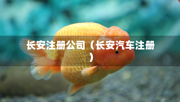 長(zhǎng)安注冊(cè)公司（長(zhǎng)安汽車(chē)注冊(cè)）