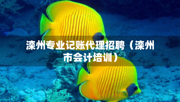 灤州專業(yè)記賬代理招聘（灤州市會計培訓）