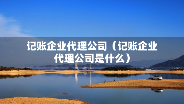 記賬企業(yè)代理公司（記賬企業(yè)代理公司是什么）