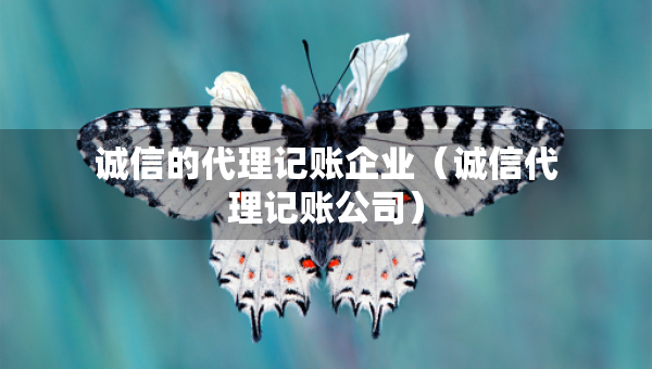誠信的代理記賬企業(yè)（誠信代理記賬公司）