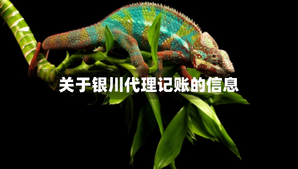 關(guān)于銀川代理記賬的信息