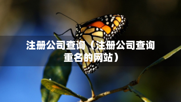 注冊公司查詢（注冊公司查詢重名的網(wǎng)站）