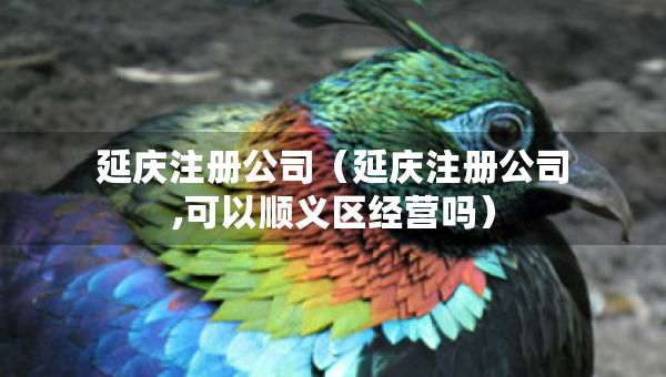 延慶注冊(cè)公司（延慶注冊(cè)公司,可以順義區(qū)經(jīng)營嗎）