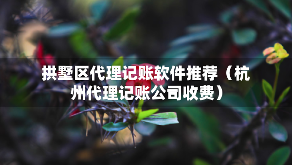 拱墅區(qū)代理記賬軟件推薦（杭州代理記賬公司收費(fèi)）