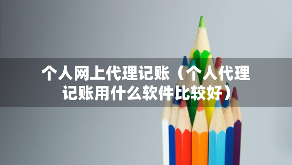 個人網(wǎng)上代理記賬（個人代理記賬用什么軟件比較好）